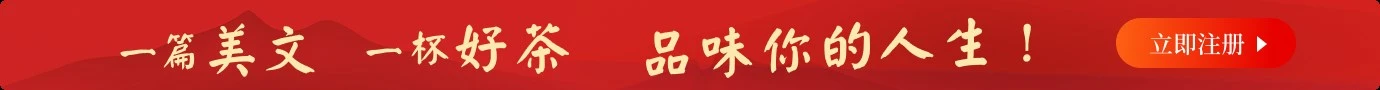 广告1