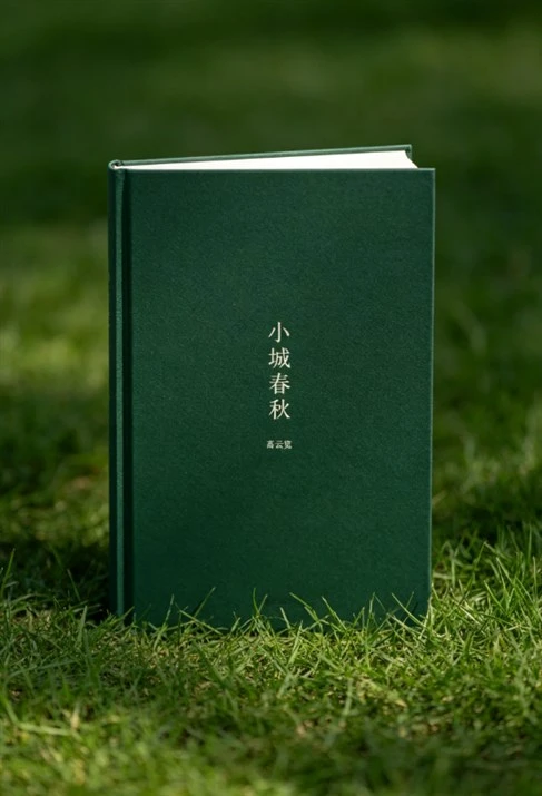 《小城春秋》高云览